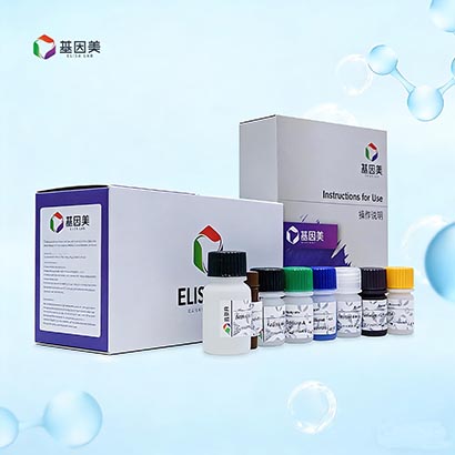 游离三碘甲状腺原氨酸(fT3)检测试剂盒