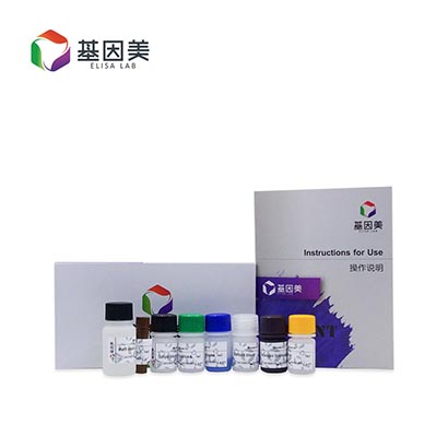 人红细胞生成素(EPO)ELISA Kit