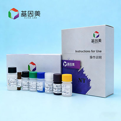 小鼠白细胞介素1β(IL-1β)ELISA Kit